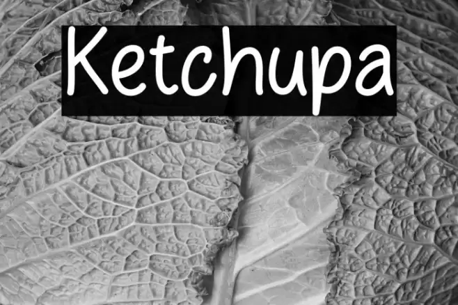 Ketchupa Font examples