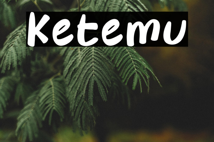 Ketemu Example 3