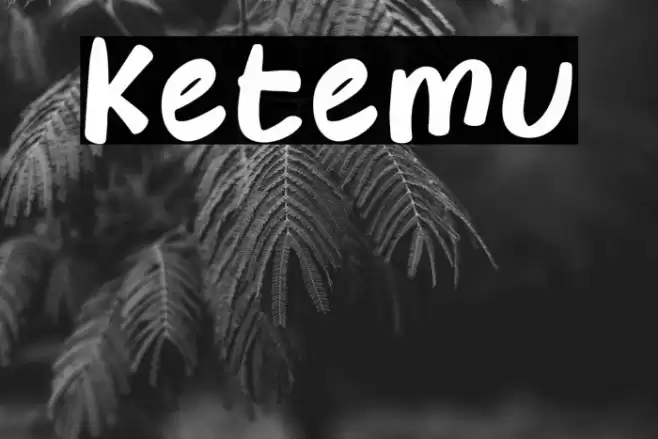 Ketemu Font examples