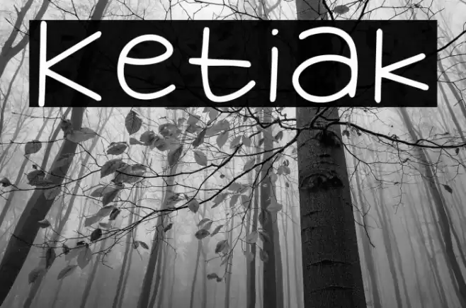 Ketiak Font examples