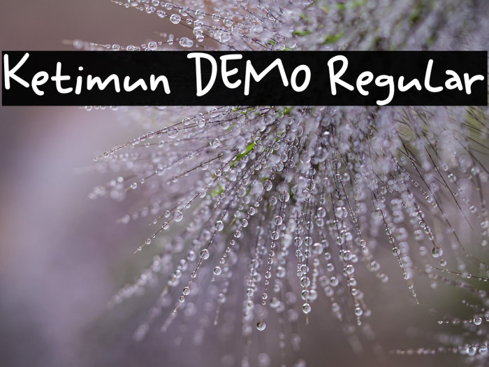 Ketimun DEMO Regular Example 3