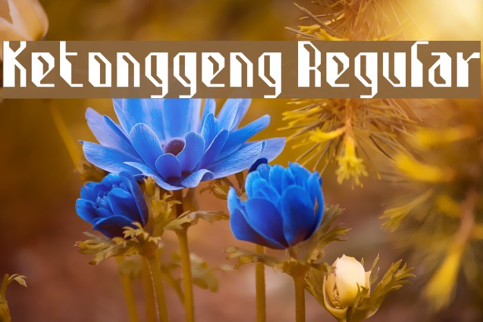 Ketonggeng Regular Example 2