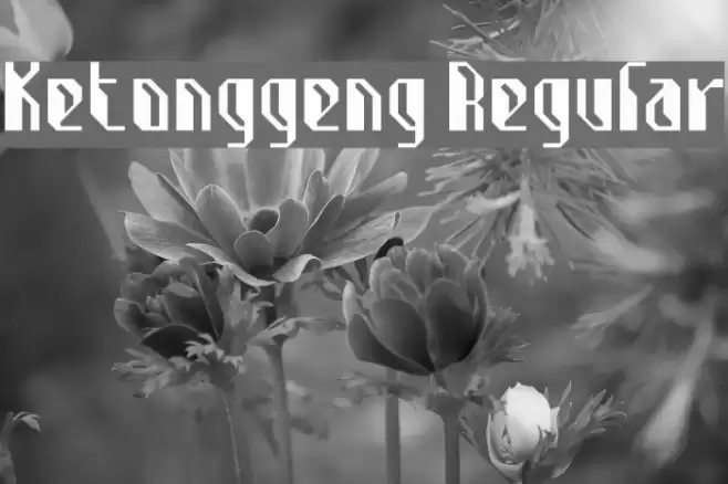 Ketonggeng Regular Font examples