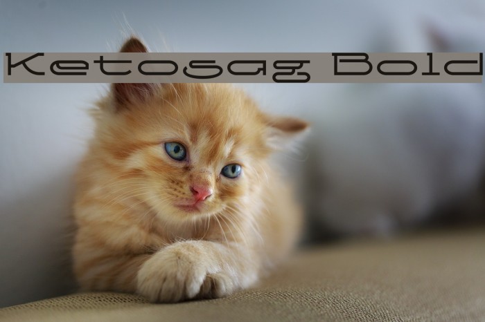 Ketosag Bold Font examples