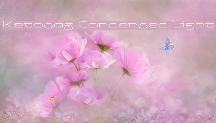 Ketosag Condensed Light Font examples
