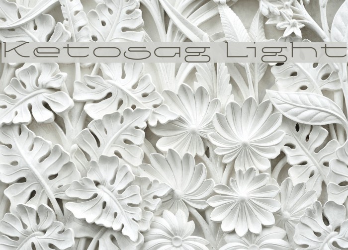 Ketosag Light Example 1