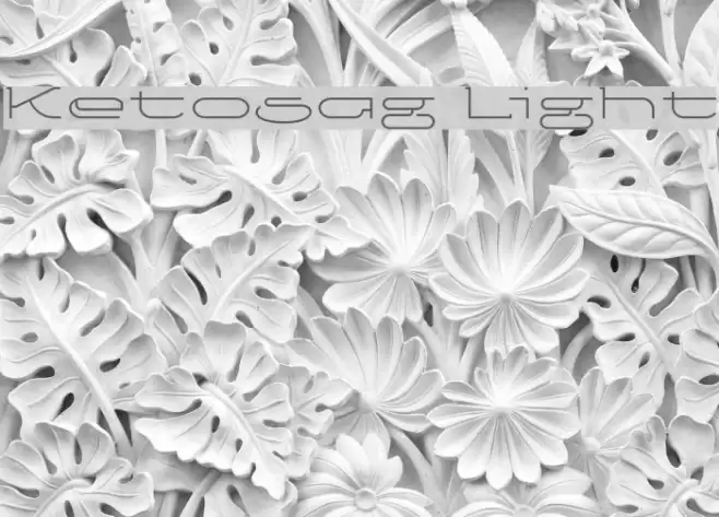 Ketosag Light Font examples