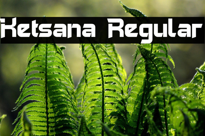 Ketsana Regular Example 1