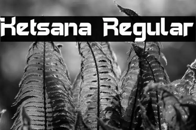 Ketsana Regular Font examples