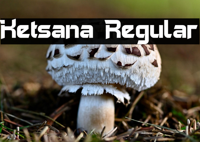 Ketsana Regular Example 2