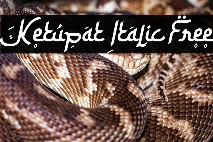 Ketupat Italic Free Example 3