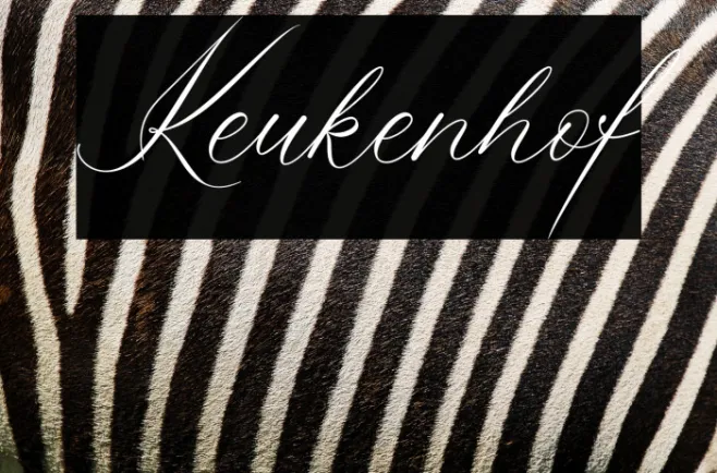 Keukenhof Example 2