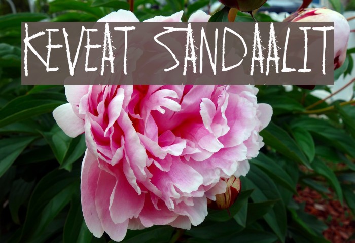 Keveat sandaalit Font examples