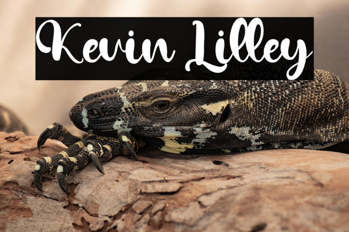 Kevin Lilley Example 3