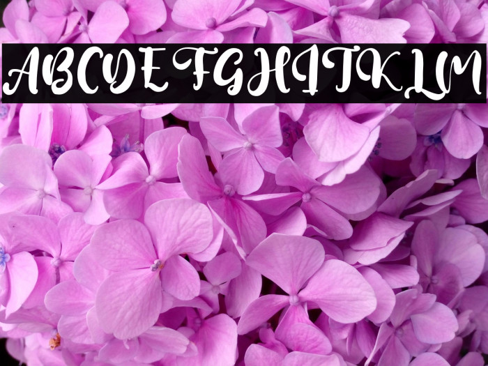 KevinLilley Example 2