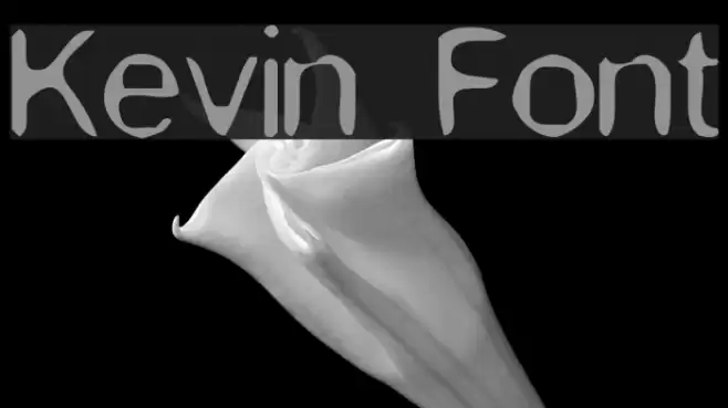 Kevin Font examples