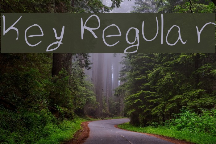 Key Regular Font examples