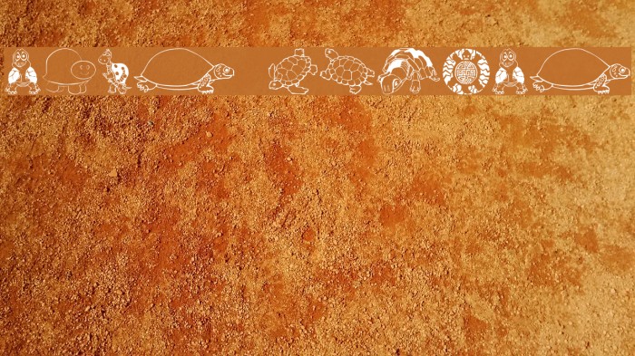 Keyas Turtles Example 1