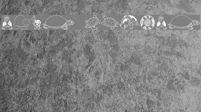 Keyas Turtles Font examples