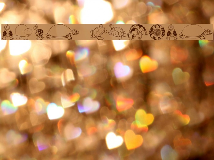 Keyas Turtles Example 3