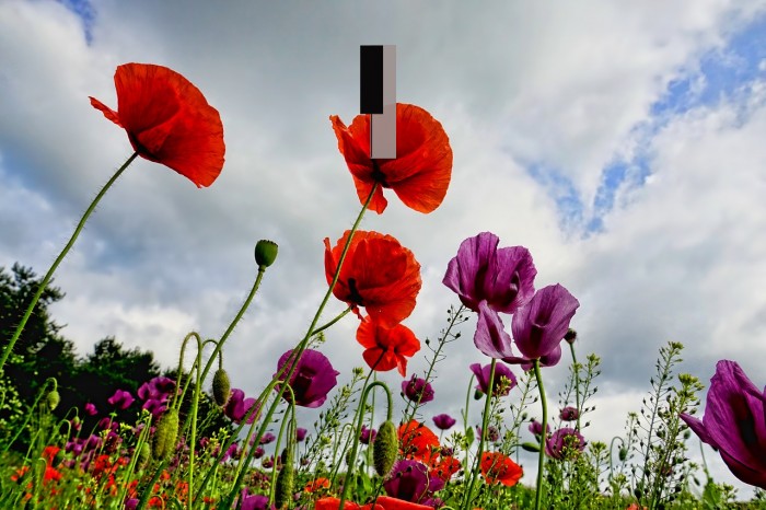 Keyboard Chord Diagram Regular Example 1