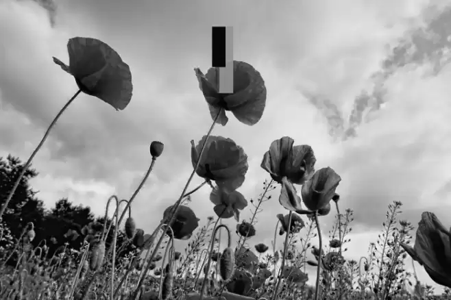 Keyboard Chord Diagram Regular Font examples