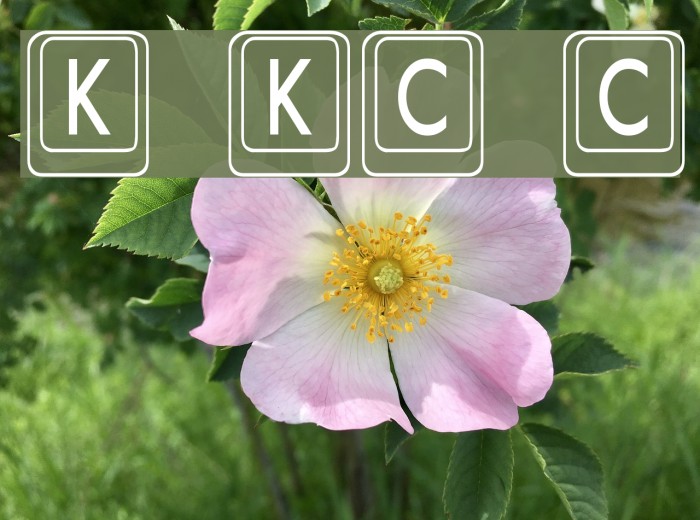 Keyboard KeysCn Condensed Font examples