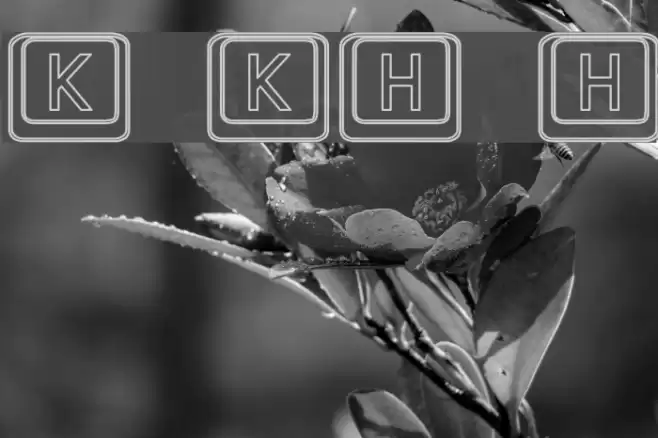 Keyboard KeysHo Hollow फ़ॉन्ट examples