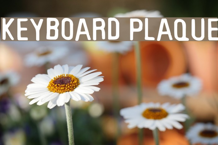 Keyboard Plaque Font examples