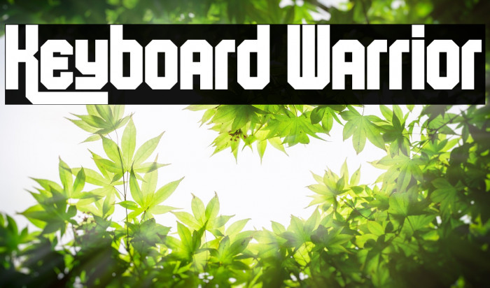 Keyboard Warrior Font examples