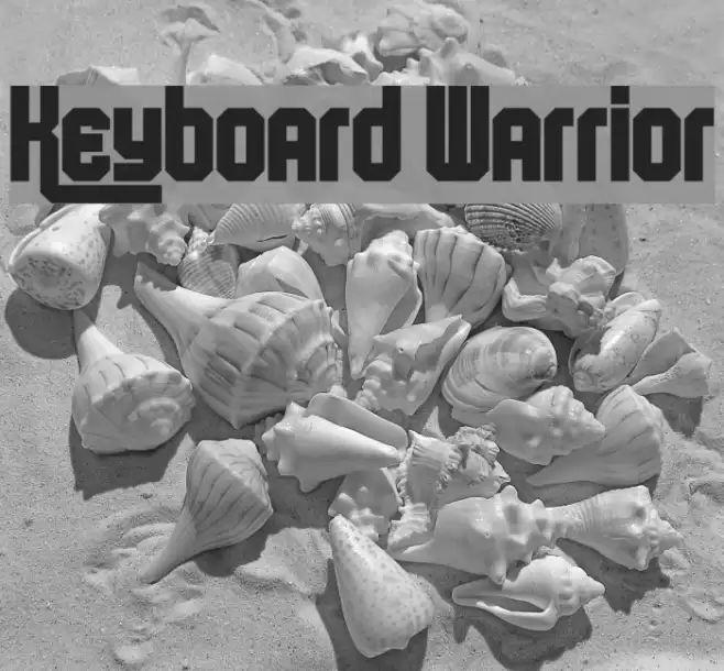 Keyboard Warrior Font examples