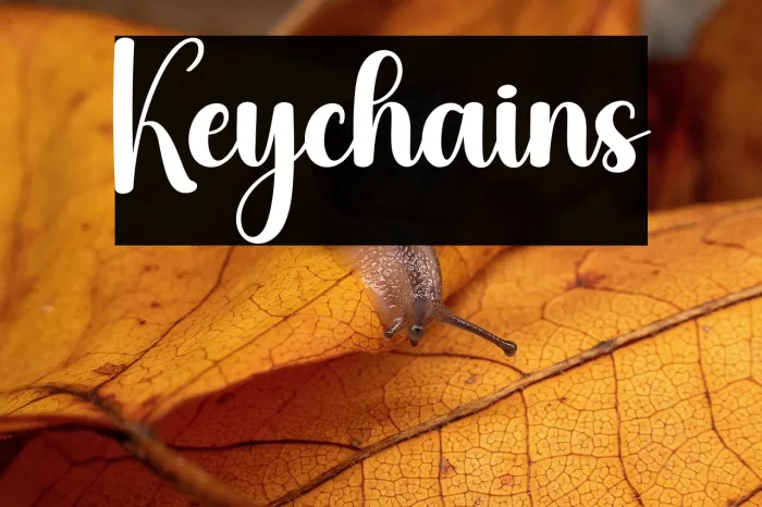 Keychains Example 3
