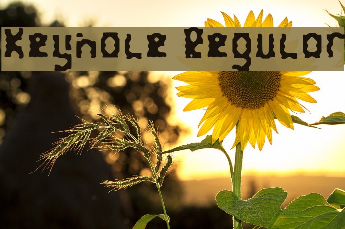 Keyhole Regular Font examples