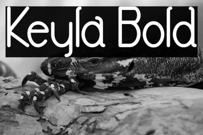 Keyla Bold Font examples
