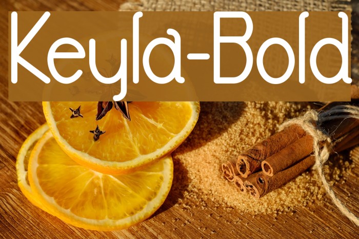Keyla-Bold Font examples