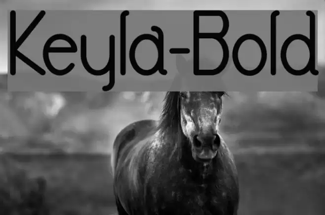Keyla-Bold Font examples