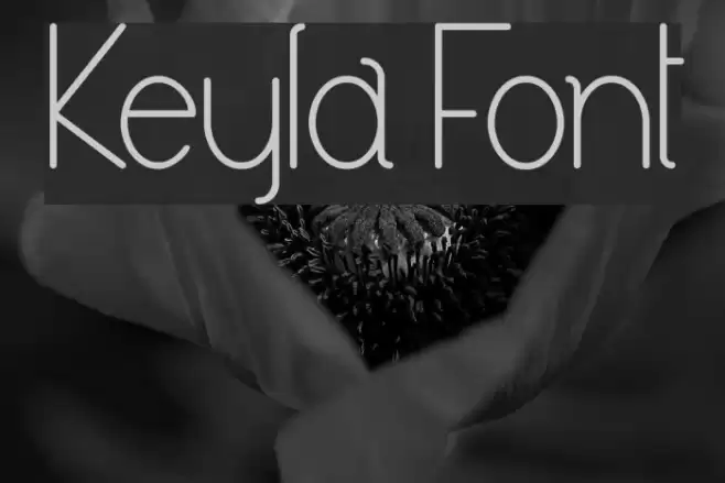 Keyla Font examples