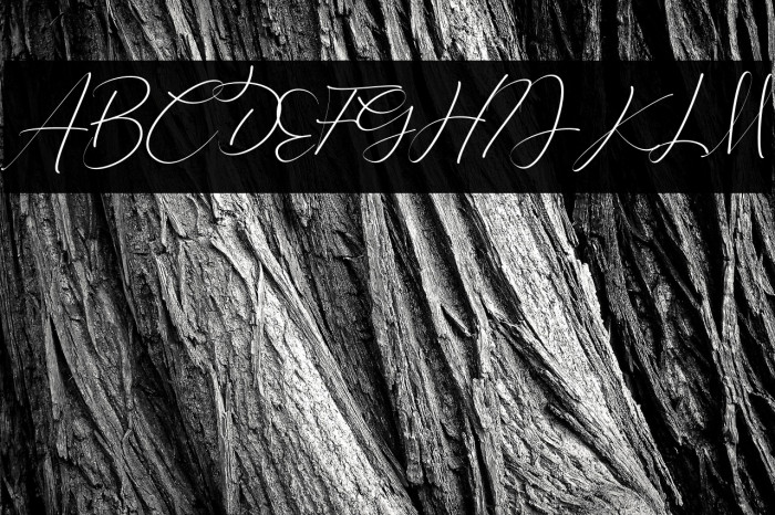 Keylista Robin Example 2