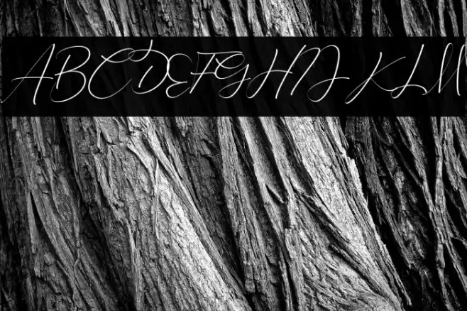 Keylista Robin Font examples