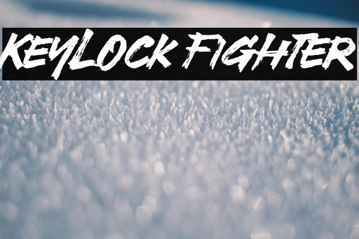 Keylock Fighter Example 1