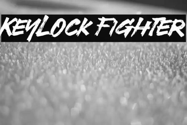 Keylock Fighter Caratteri examples