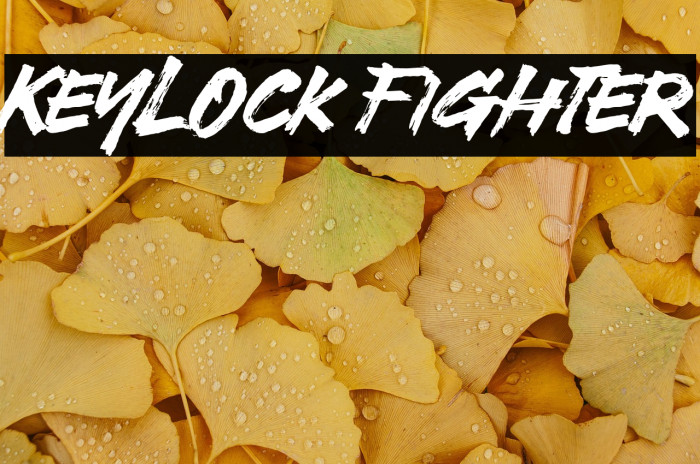 Keylock Fighter Example 2