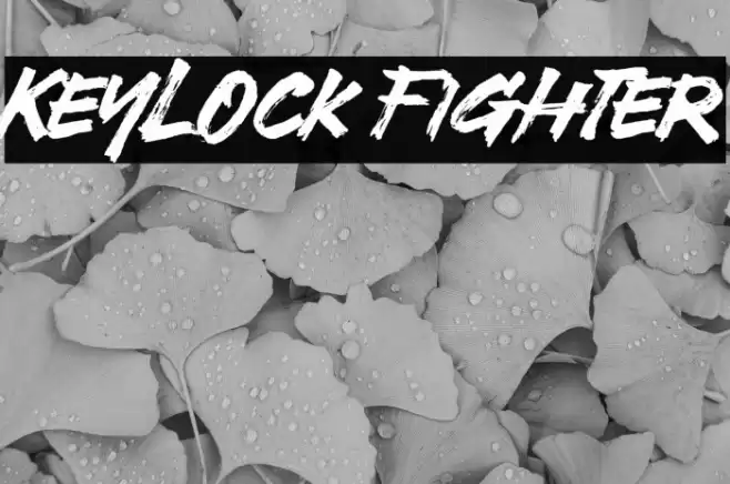 Keylock Fighter Caratteri examples