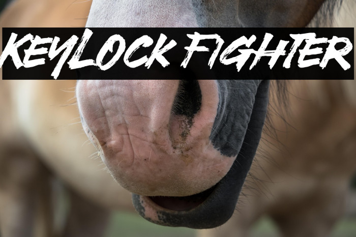 Keylock Fighter Example 3