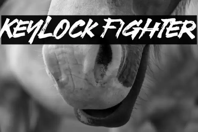 Keylock Fighter Caratteri examples