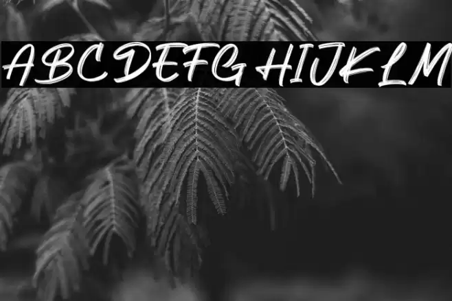 Keypass Font examples