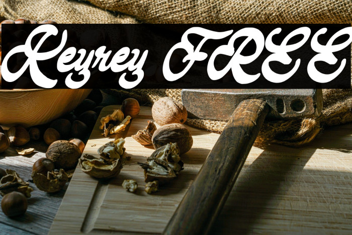 Keyrey FREE Example 2