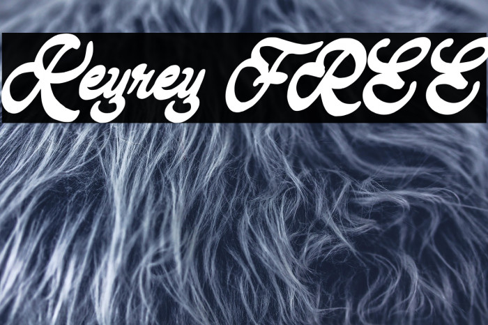 Keyrey FREE Example 3