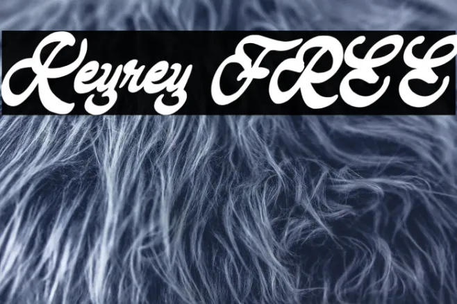 Keyrey FREE Example 3