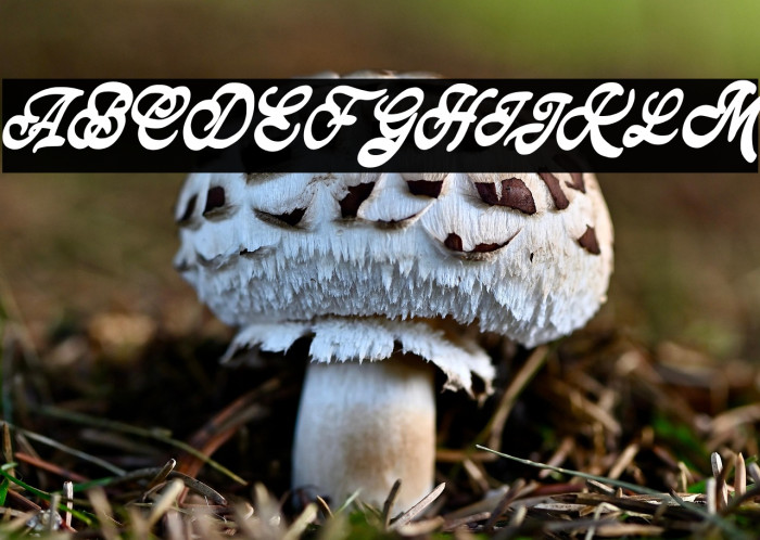 KeyreyFREE Example 2